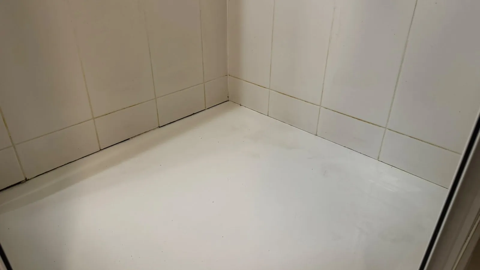 Verfärbte Silikonfugen in einer weißen Dusche, Vorher
